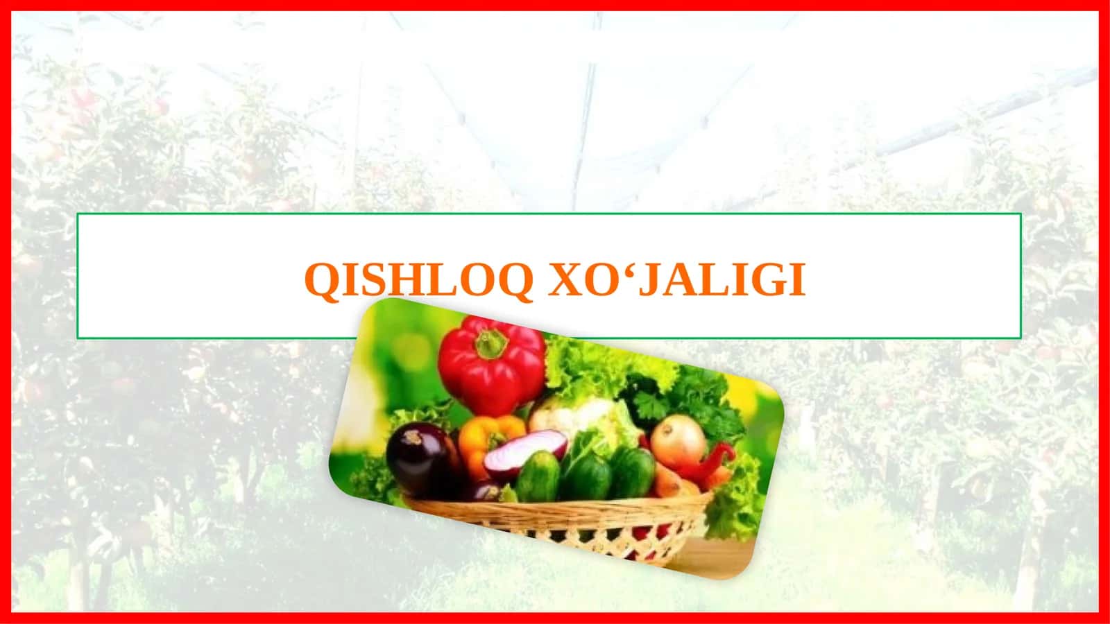 QISHLOQ XO‘JALIGI 1