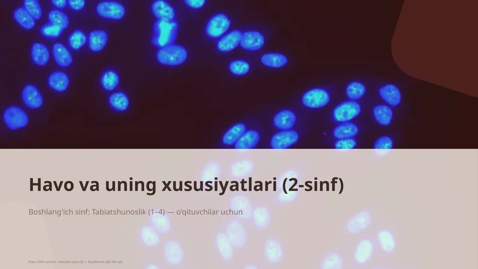 Havo va uning xususiyatlari (2-sinf) 1