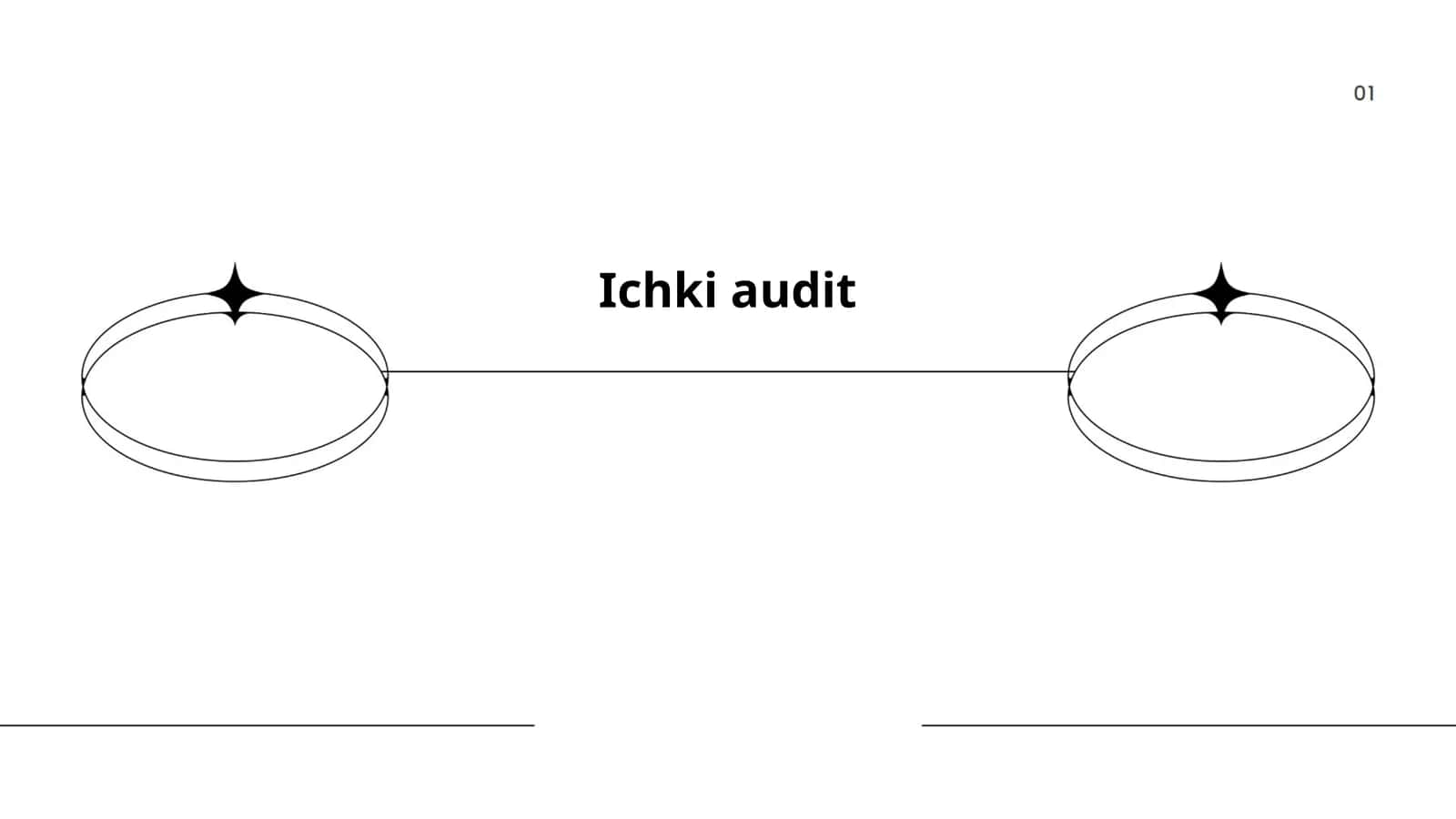 Ichki audit 1