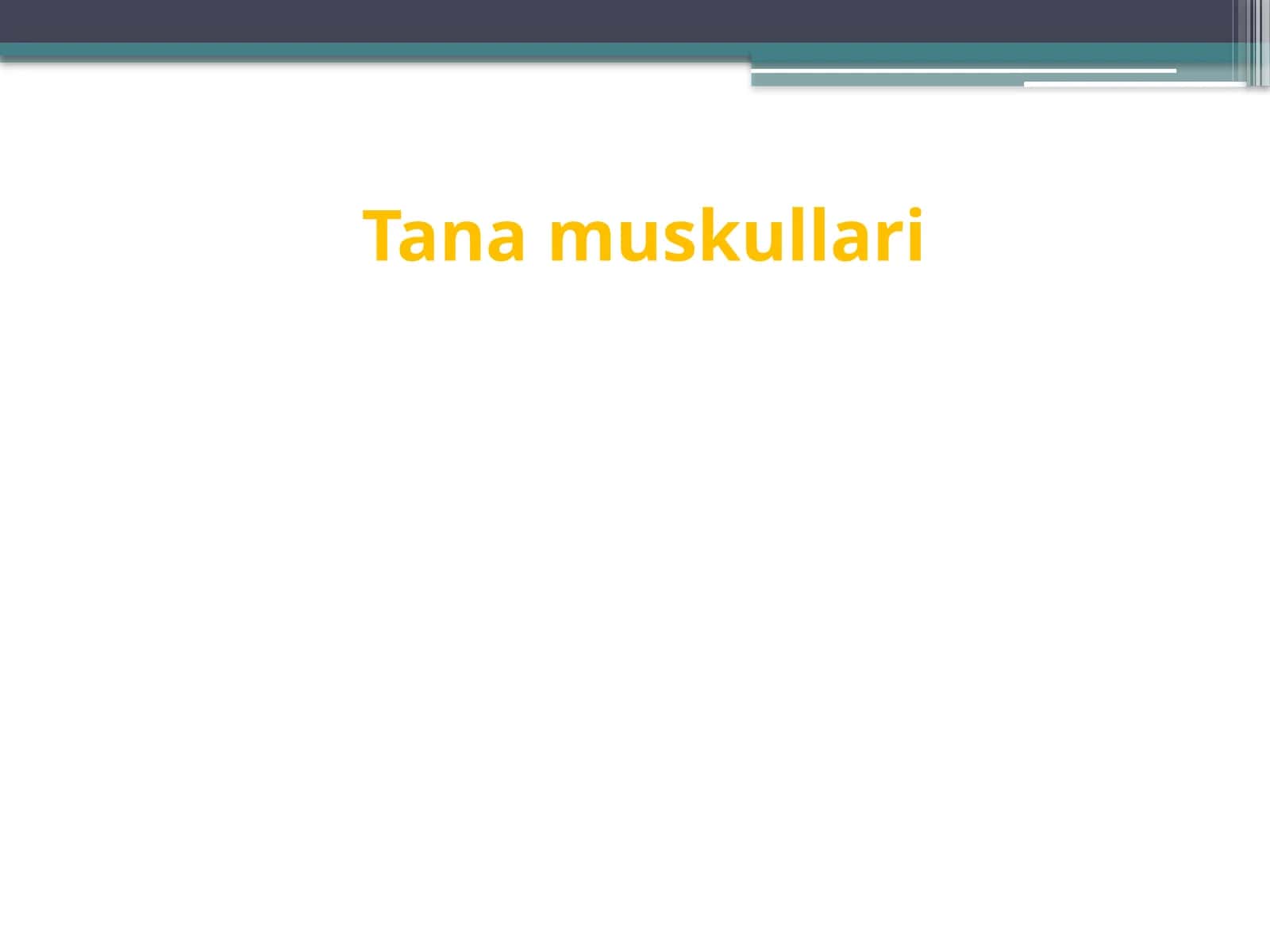 Tana muskullari 1