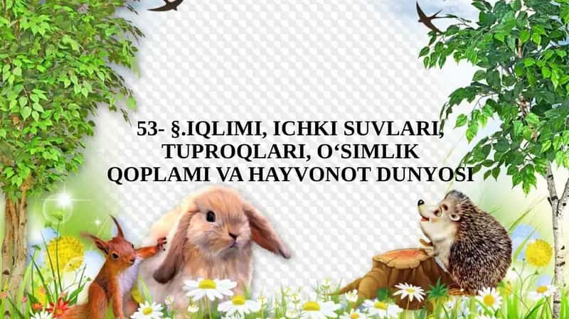 Iqlimi 1
