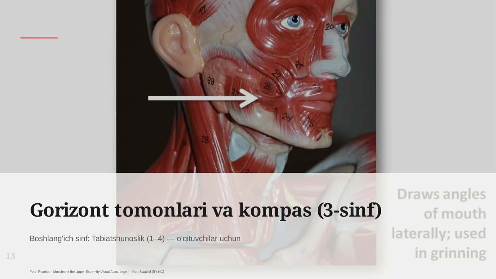 Gorizont tomonlari va kompas (3-sinf) 1