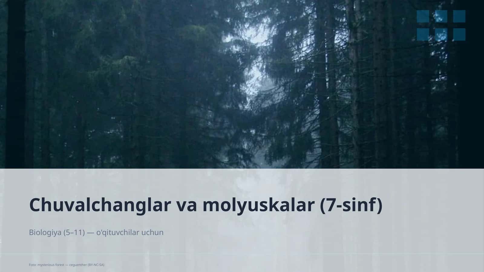Chuvalchanglar va molyuskalar (7-sinf) 1