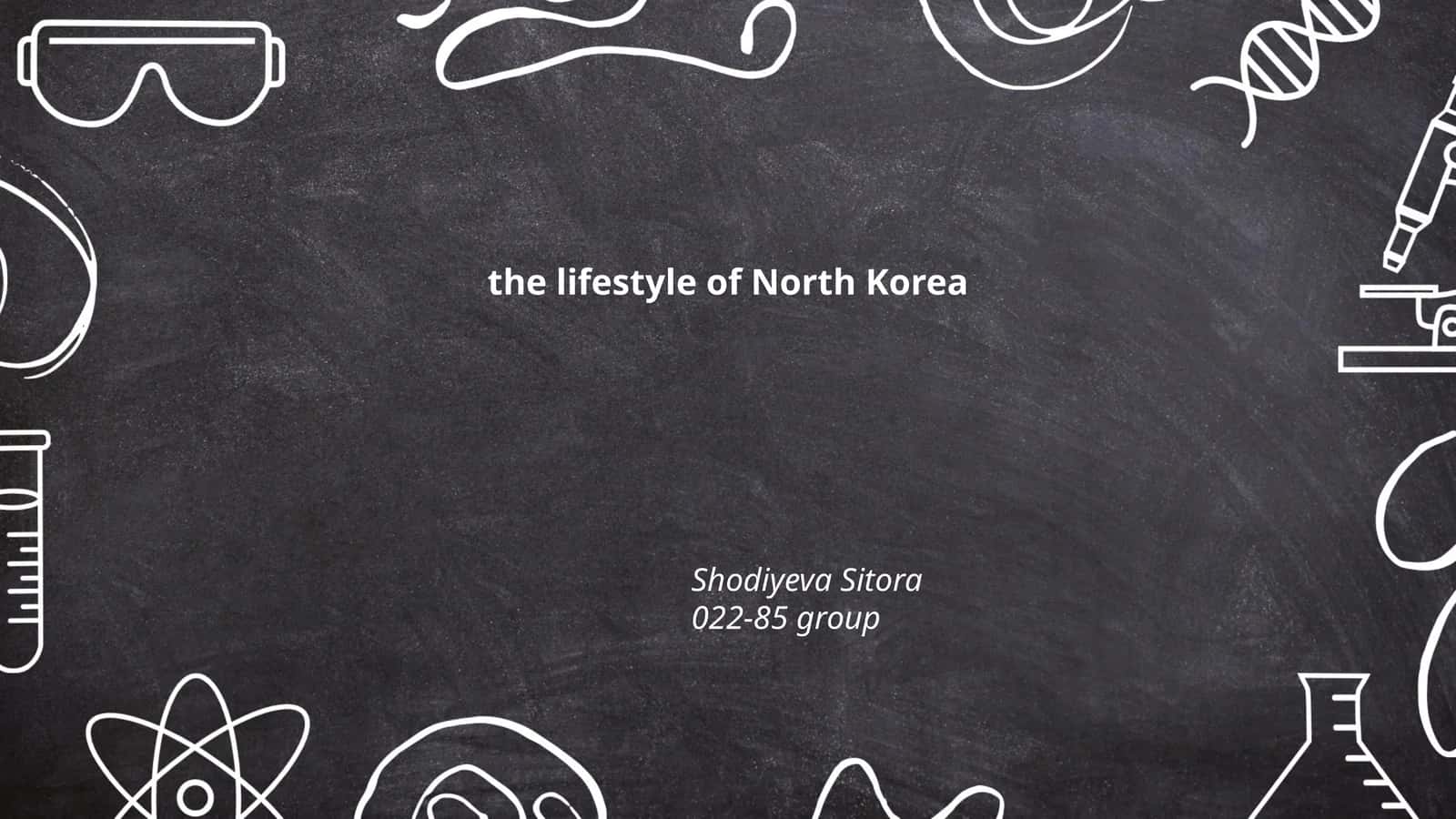 North Korea living conditions 1