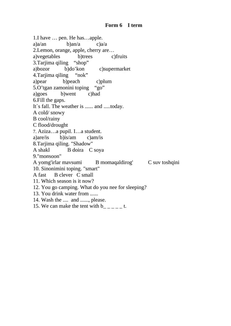 Form 6 I term 1