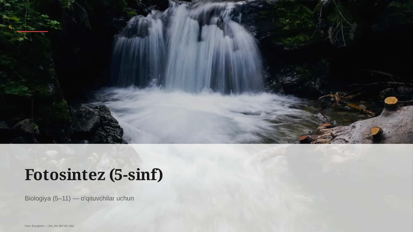 Fotosintez (5-sinf) 1