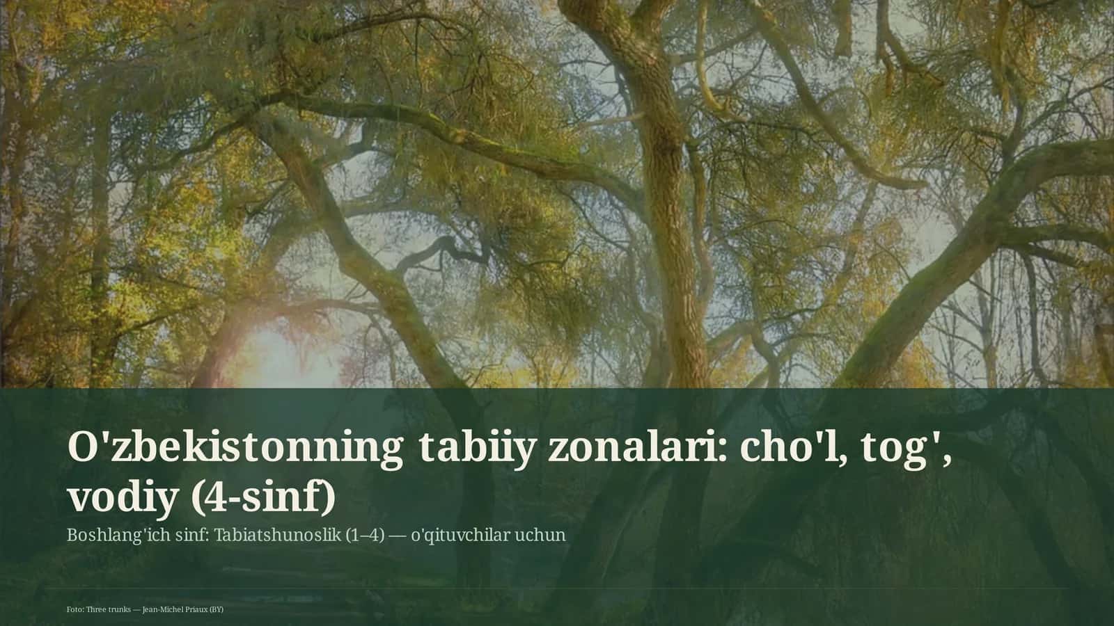 O'zbekistonning tabiiy zonalari: cho'l, tog', vodiy (4-sinf) 1