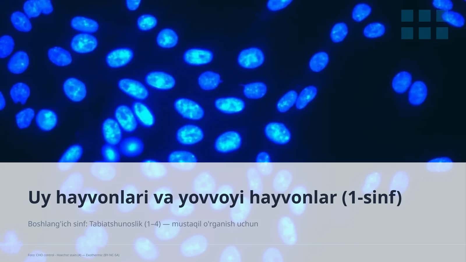 Uy hayvonlari va yovvoyi hayvonlar (1-sinf) 1
