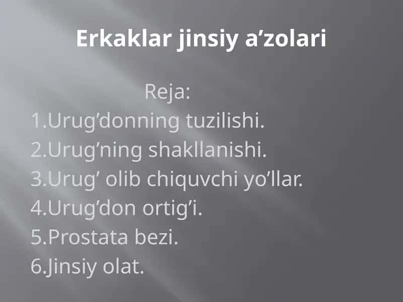 Erkaklar jinsiy a’zolari 1