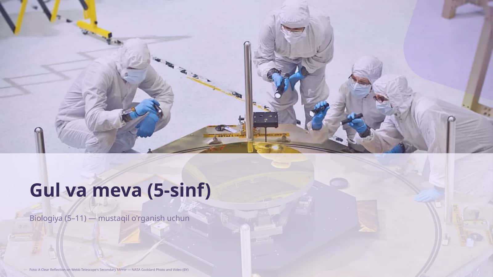 Gul va meva (5-sinf) 1