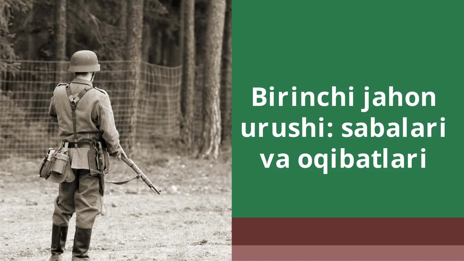 Birinchijahonurushi:sabalarivaoqibatlari 1