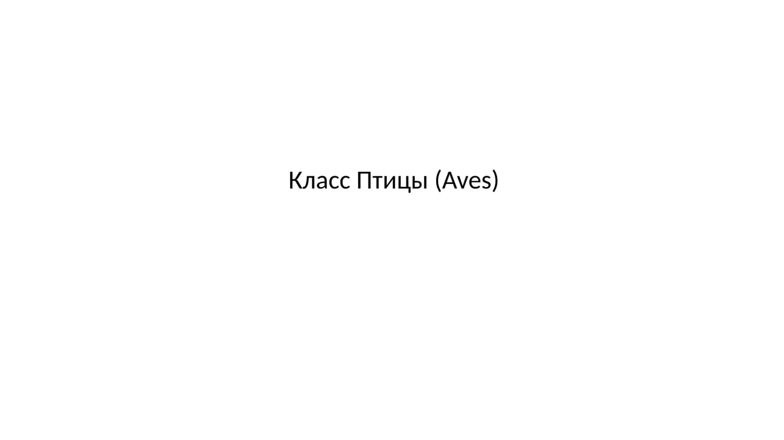 Класс Птицы (Aves) 1