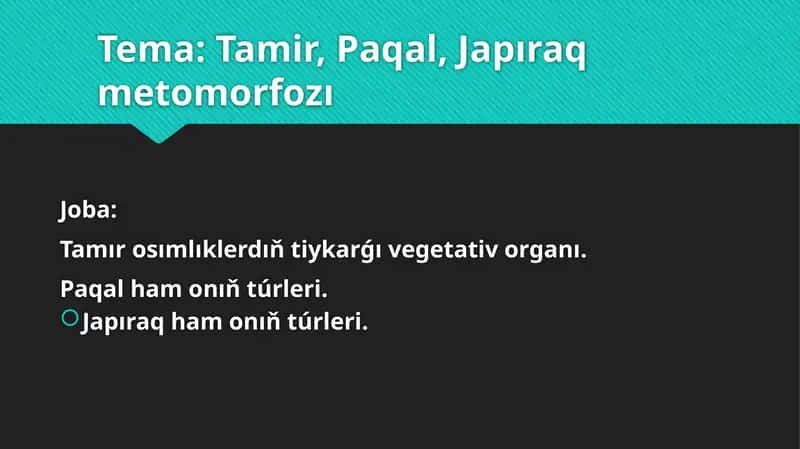 Tiykarǵı bas tamir 1