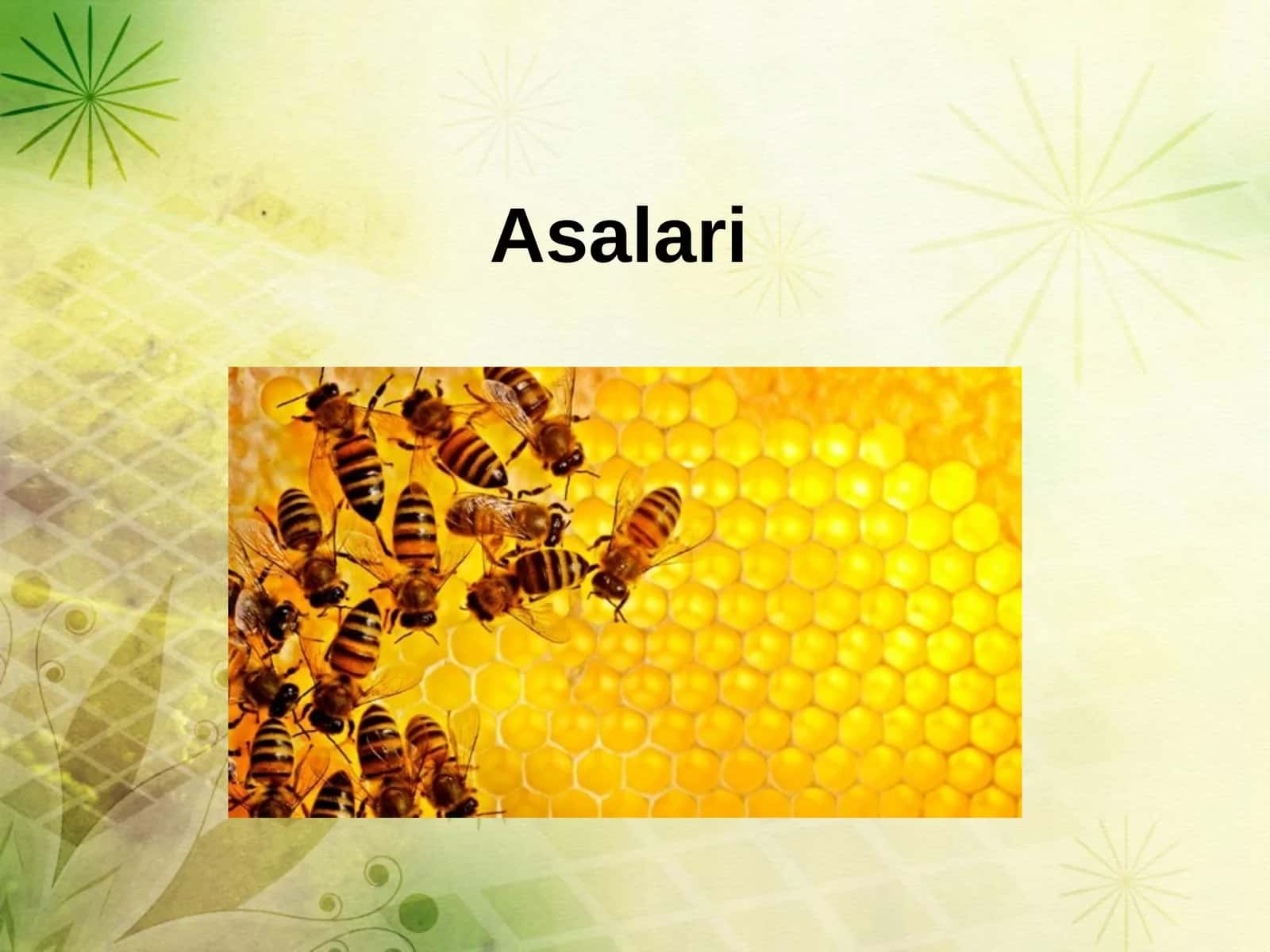 Asalari 1