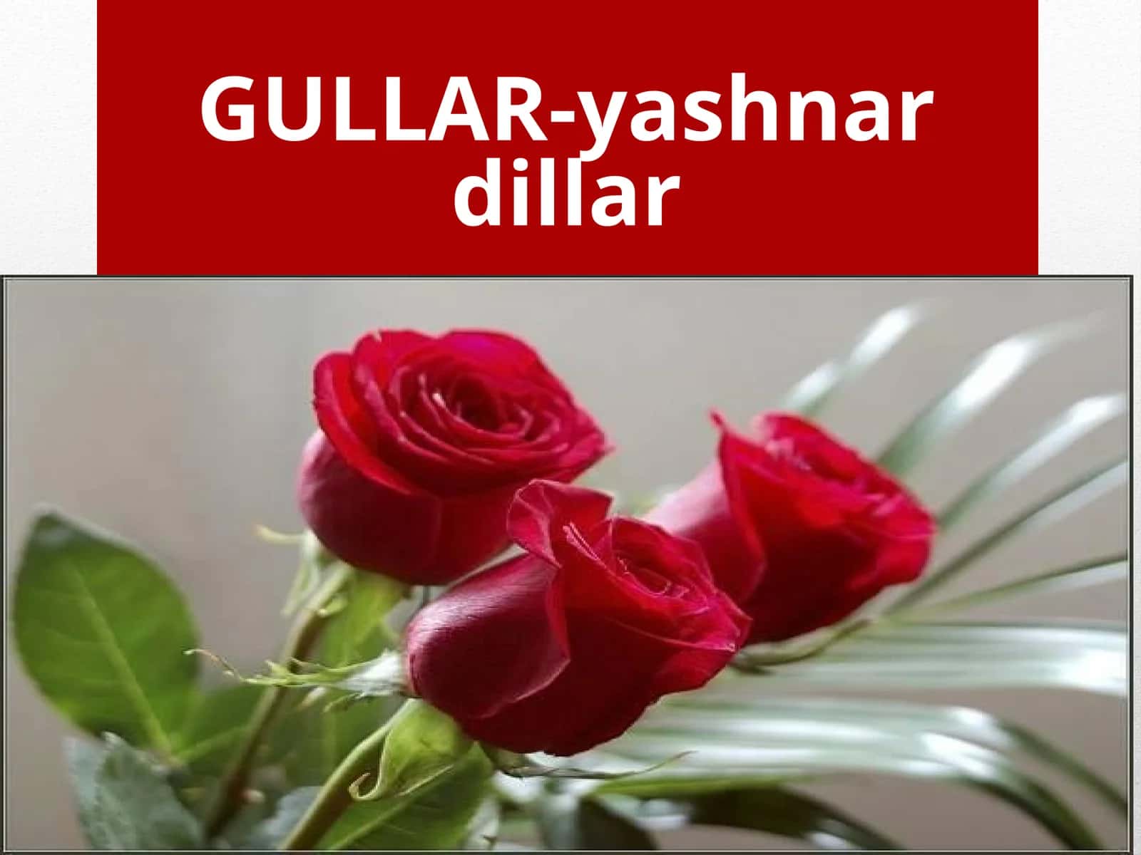 GULLAR-yashnardillar 1
