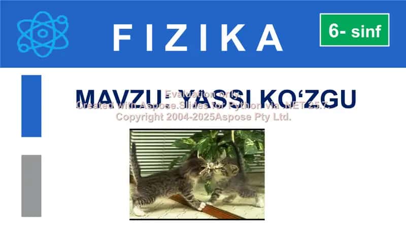 Yassi ko‘zgu 1