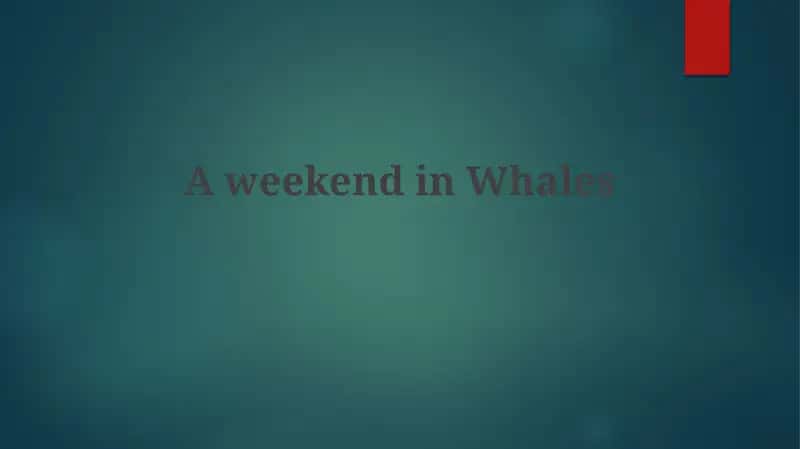 A weekend in Whales 1