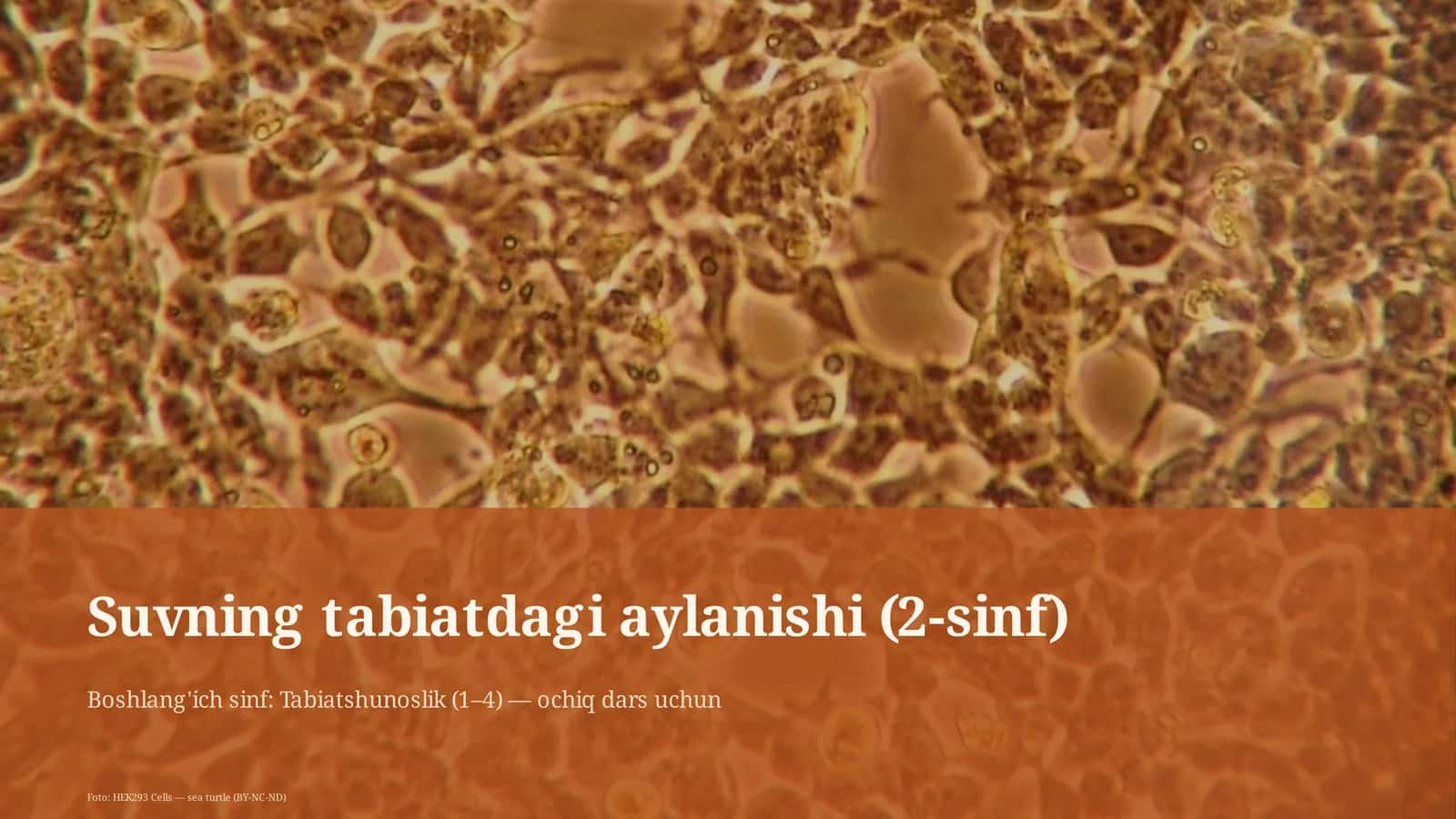 Suvning tabiatdagi aylanishi (2-sinf) 1