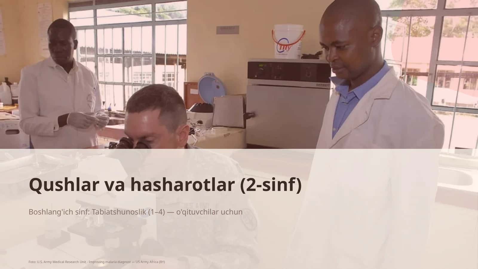 Qushlar va hasharotlar (2-sinf) 1