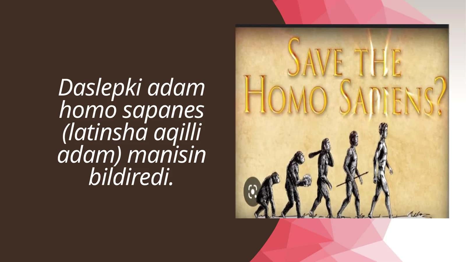 Homo sapanes 1