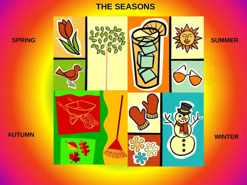 THE SEASONS 1