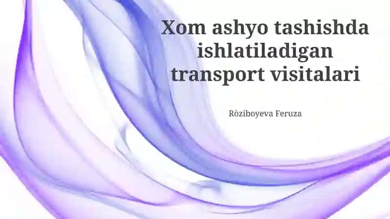 Yuk tashishda ishlatiladigan transport visitalari