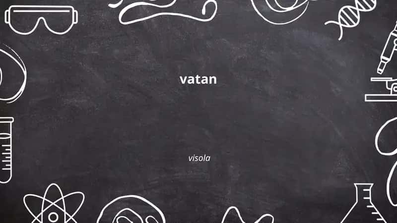 Vatan tuyg'usi 1
