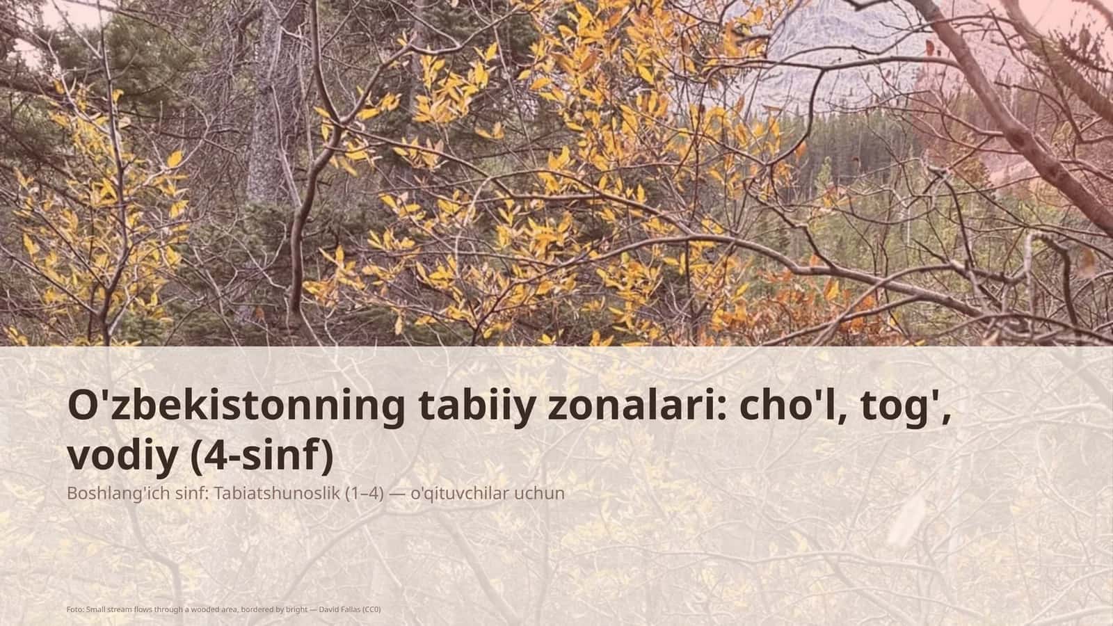 O'zbekistonning tabiiy zonalari: cho'l, tog', vodiy (4-sinf) 1