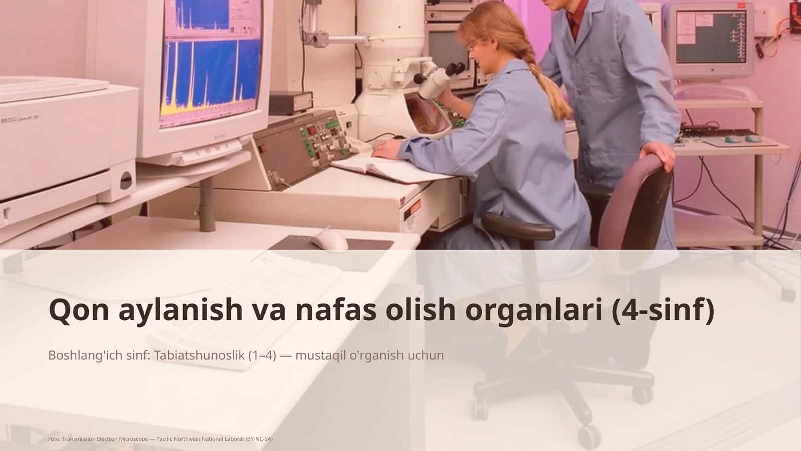 Qon aylanish va nafas olish organlari (4-sinf) 1