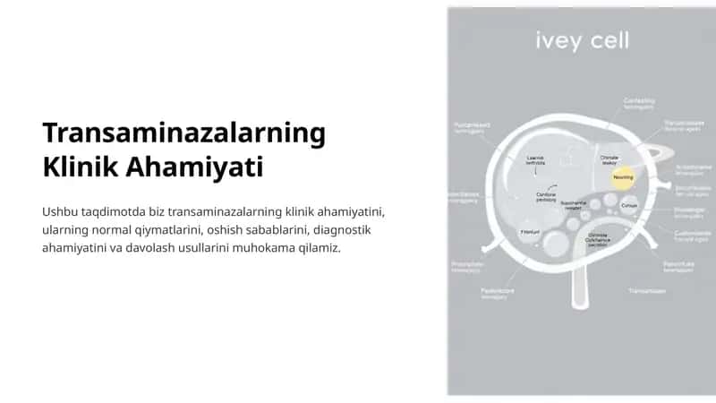 Transaminazalarning Klinik Ahamiyati 1