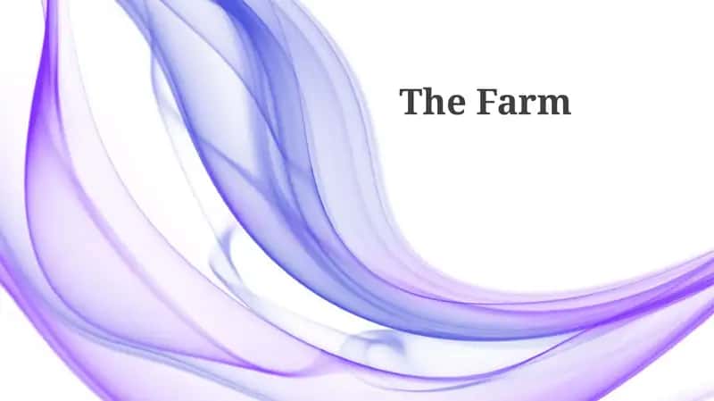 The Farm 1