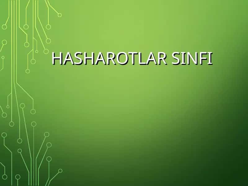 Hasharotlar Sinfi 1