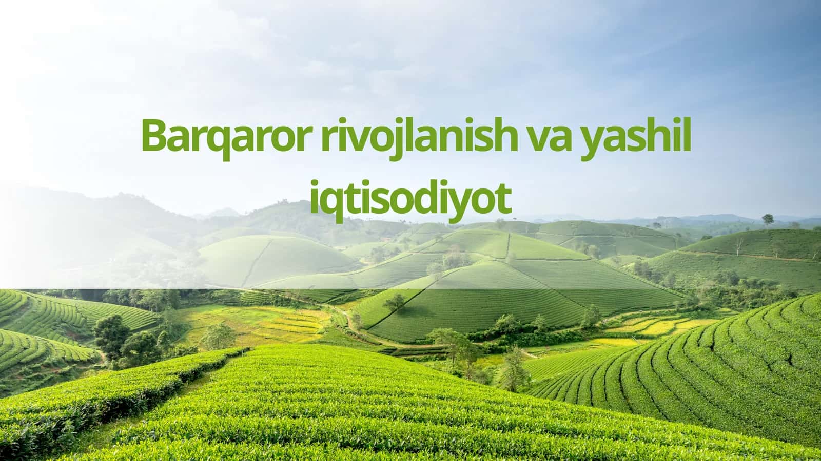 Yashil iqtisodiyotga o‘tish strategiyasi 1