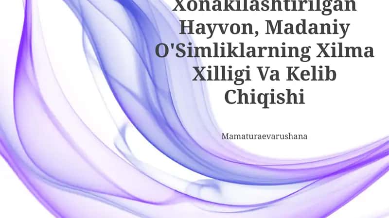 Xonakilashtirilgan Hayvon, Madaniy O'Simliklarning Xilma Xilligi Va Kelib Chiqishi 1