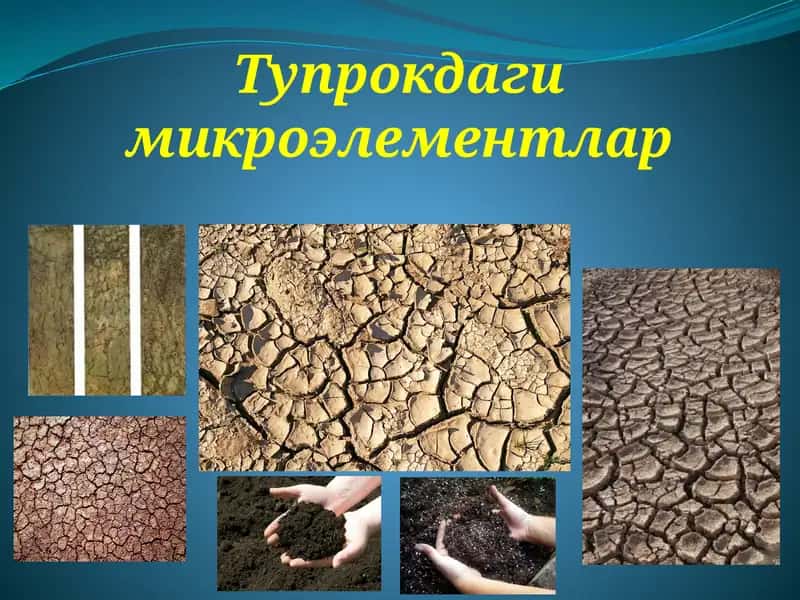 Тупрокдаги микроэлементлар 1