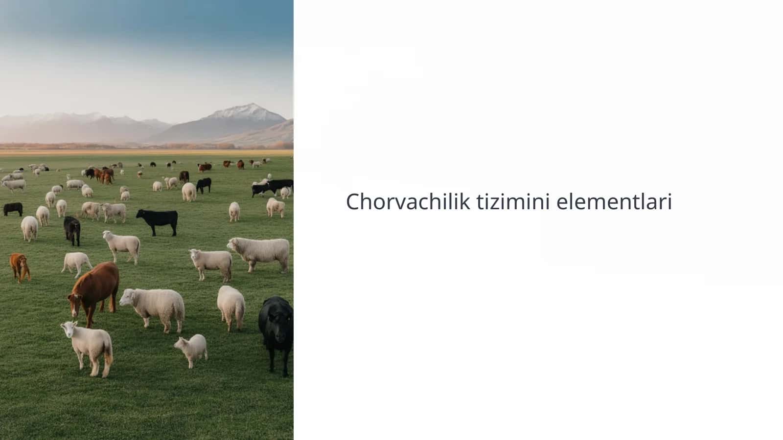 Chorvachilik tizimini elementlari 1