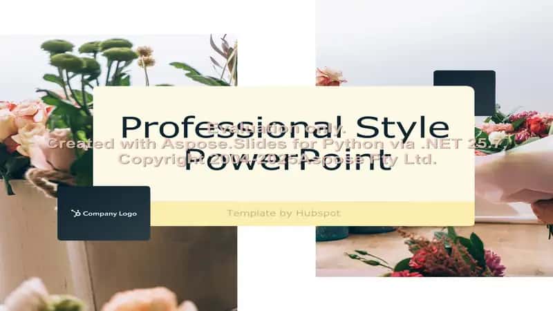 Professional Style PowerPoint Template 1