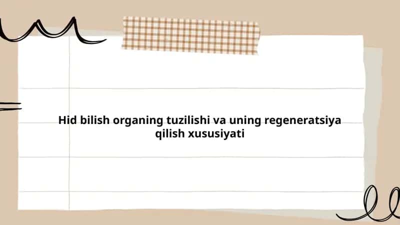 Hid bilish a'zolari tuzilishi 1