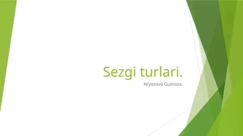 Sezgi turlari 1