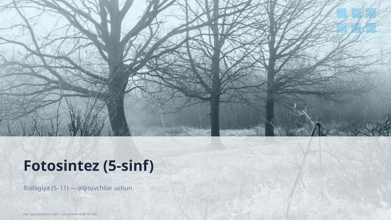 Fotosintez (5-sinf) 1