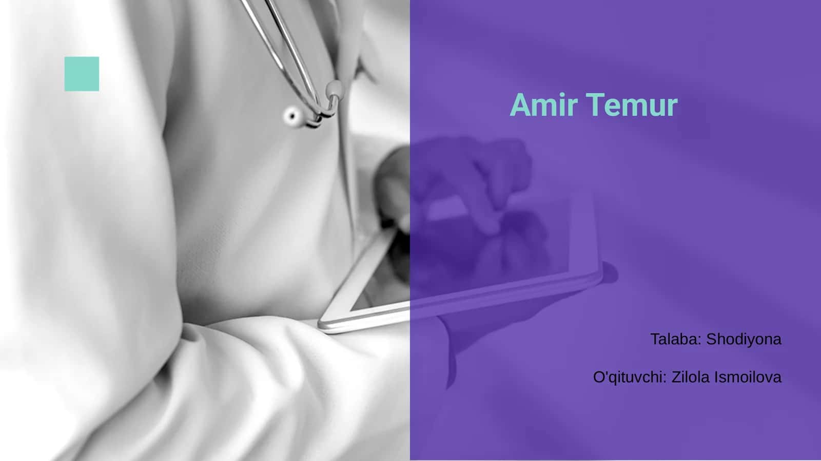 Amir Temur 1