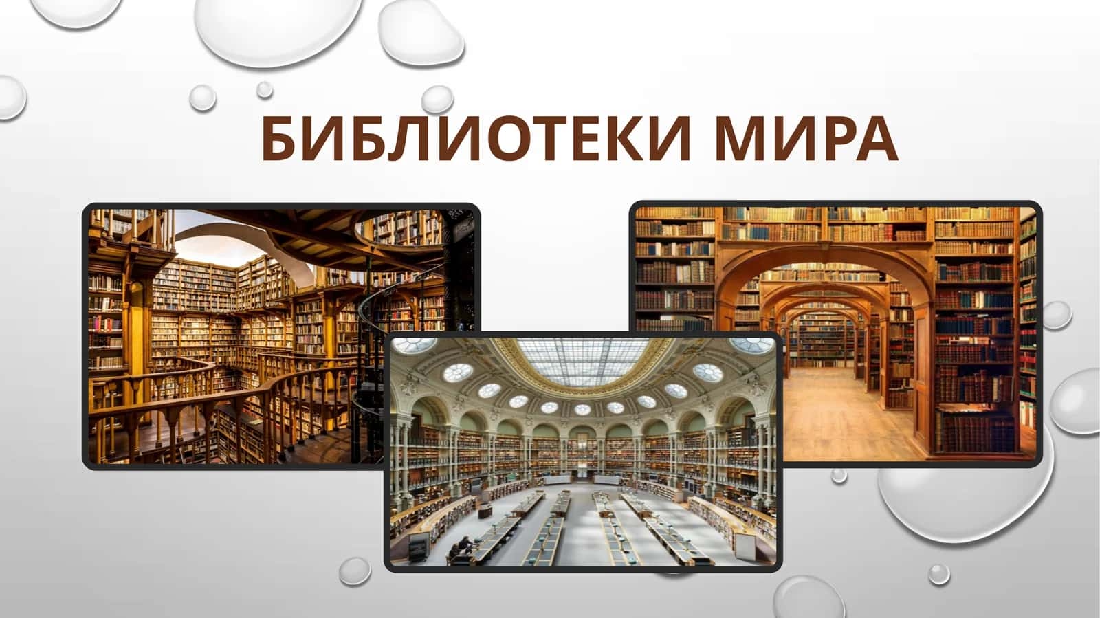 Библиотеки мира 1