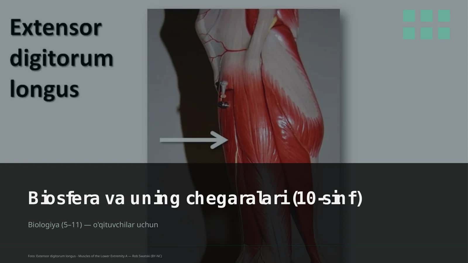 Biosfera va uning chegaralari (10-sinf) 1