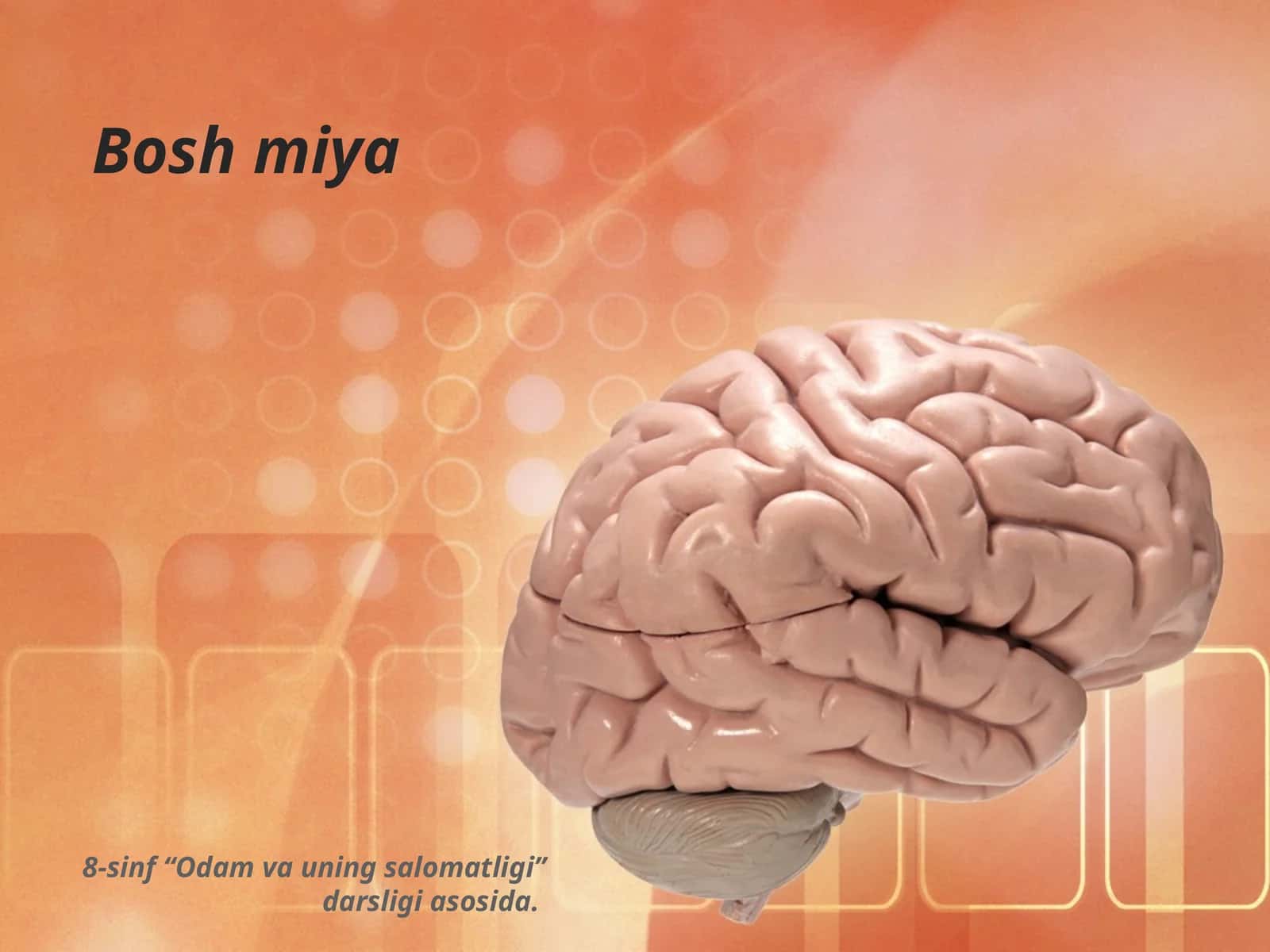 Bosh miya 1