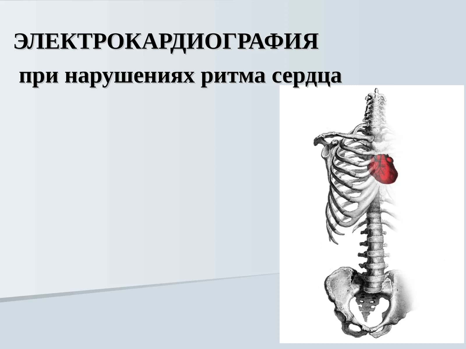ЭЛЕКТРОКАРДИОГРАФИЯ 1
