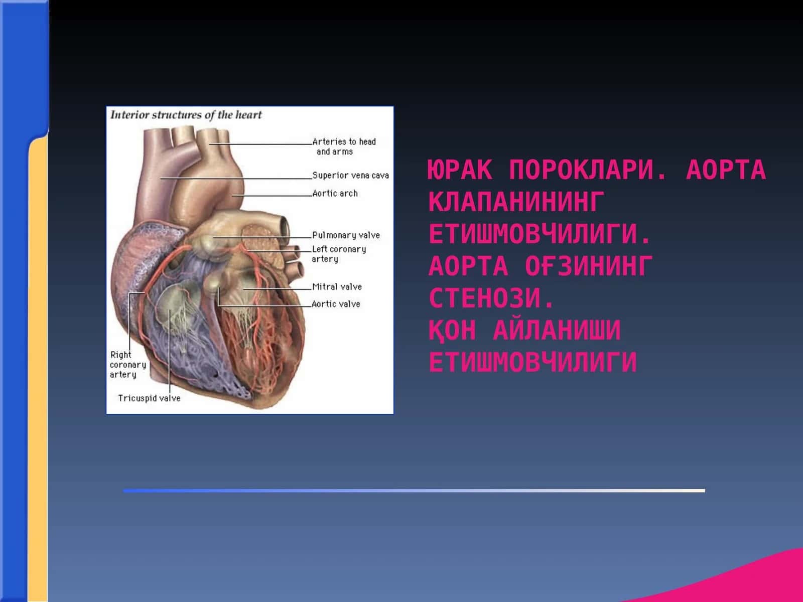 АОРТА КЛАПАНИНИНГ ЕТИШМОВЧИЛИГИ 1