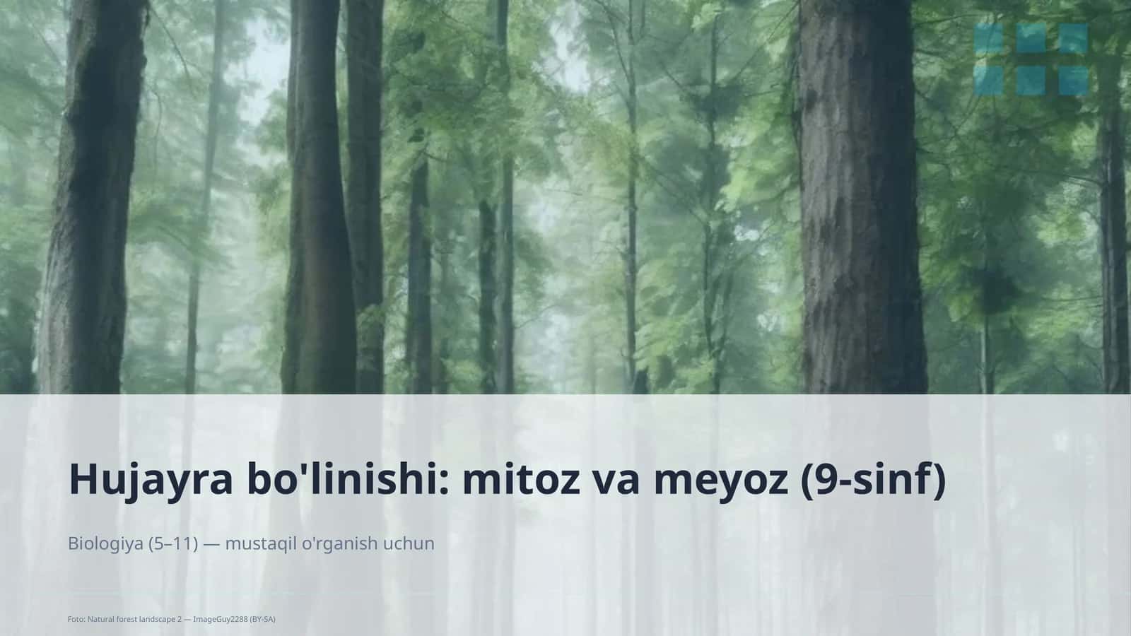 Hujayra bo'linishi: mitoz va meyoz (9-sinf) 1