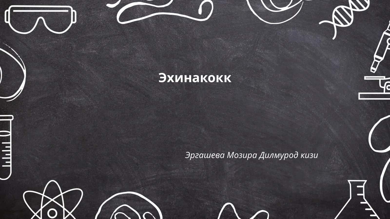 Эхинакокк 1