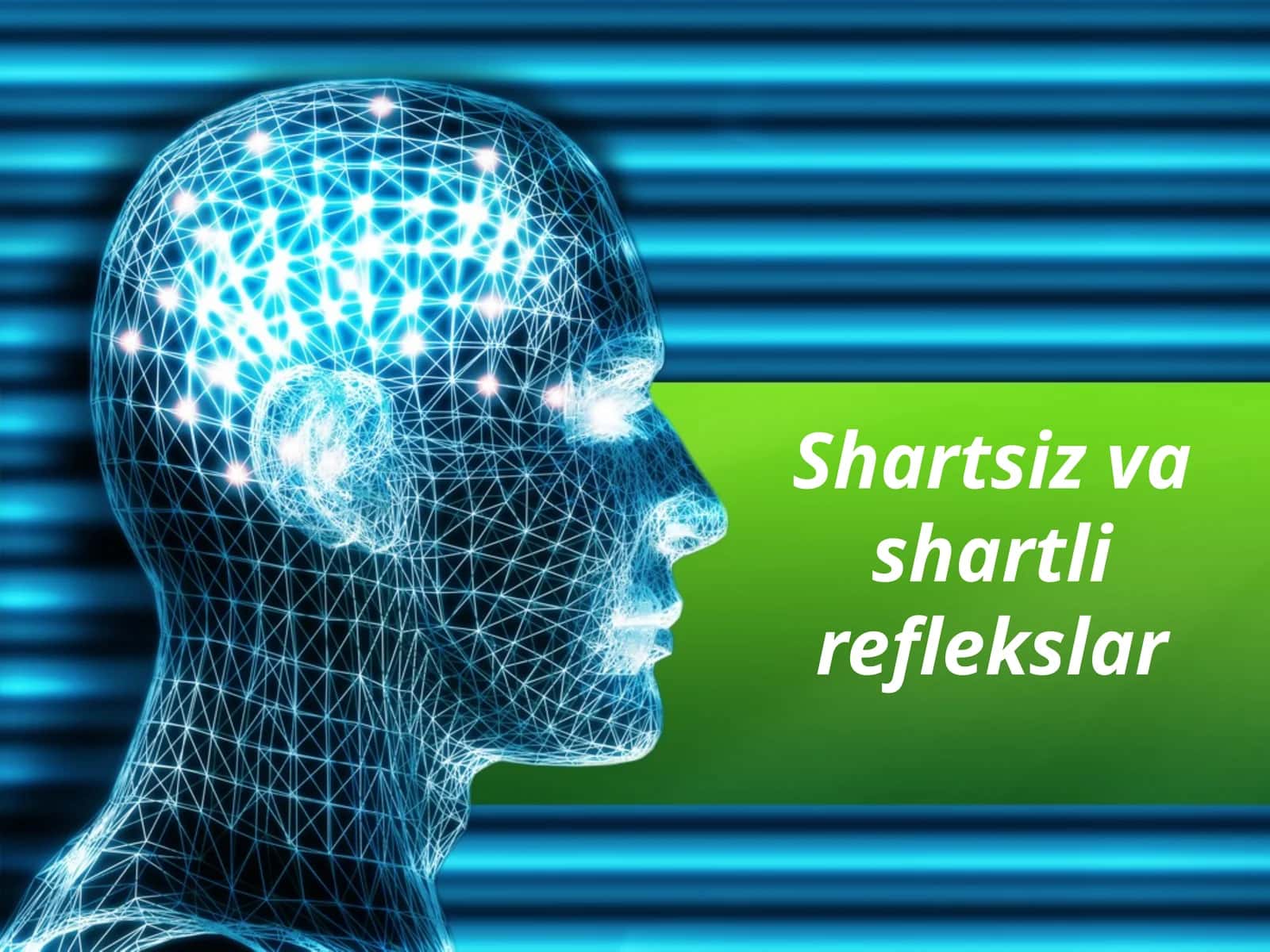 Shartsiz va shartli reflekslar 1