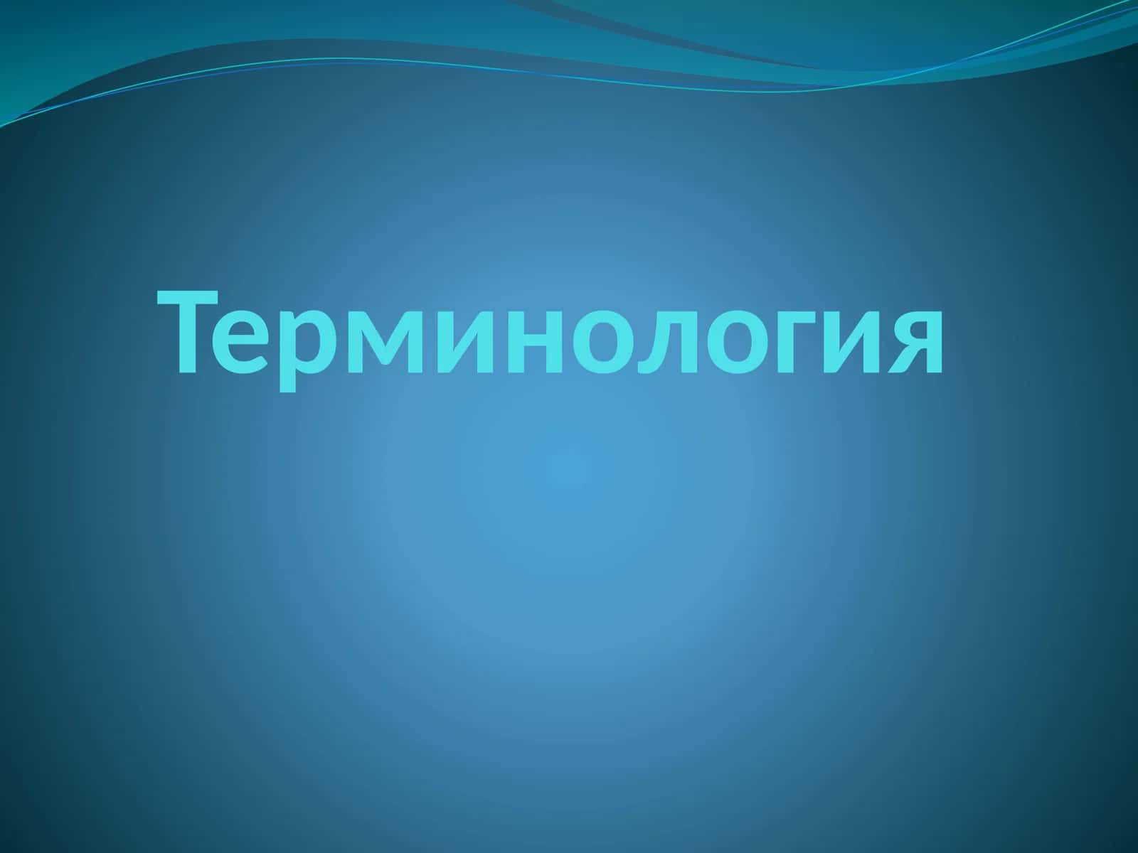Терминология 1